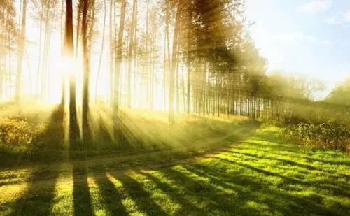 内心充满阳光的句子文案