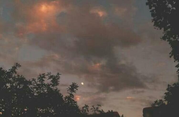 手帐唯美句子文案长一点