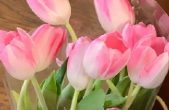 2024超火的短句子文案