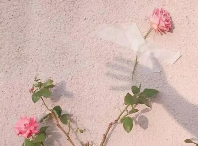 英文语录文案短句带翻译