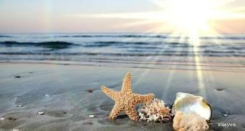 微商晨读正能量短句