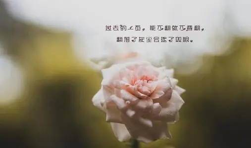 充满正能量阳光的八字短句