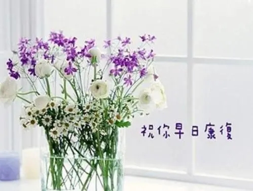 祝早日康复的简短话语