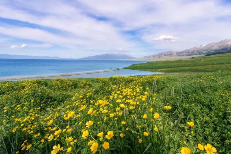 万能套用的名言尼采