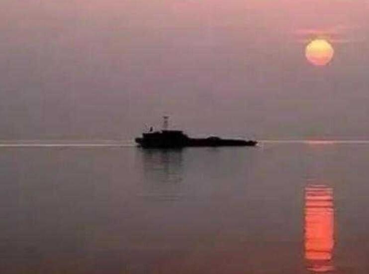 关于鱼的经典诗句文案