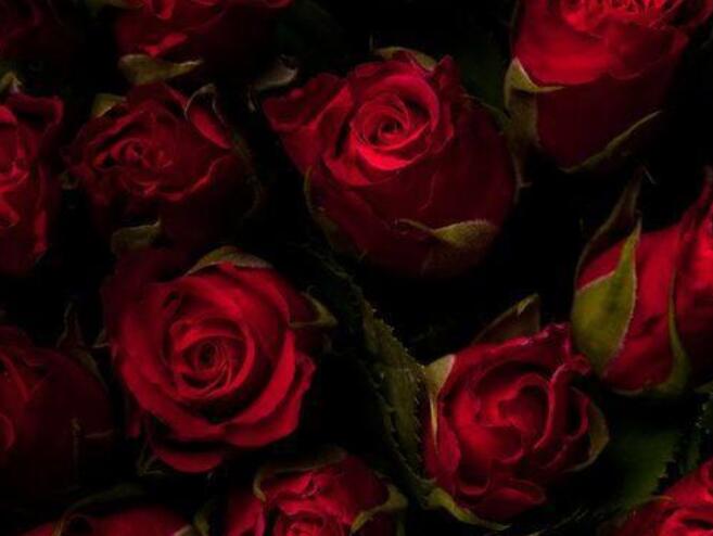 激励女人减肥的句子文案