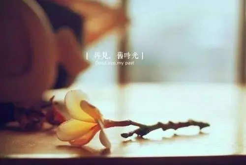 简单生活的语录文案