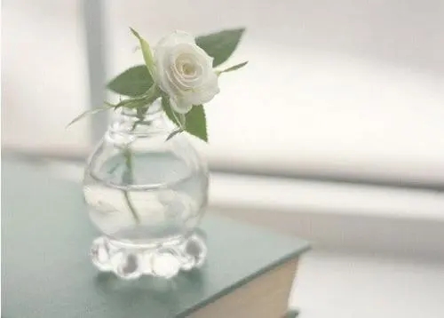 描写生活很美好的句子文案