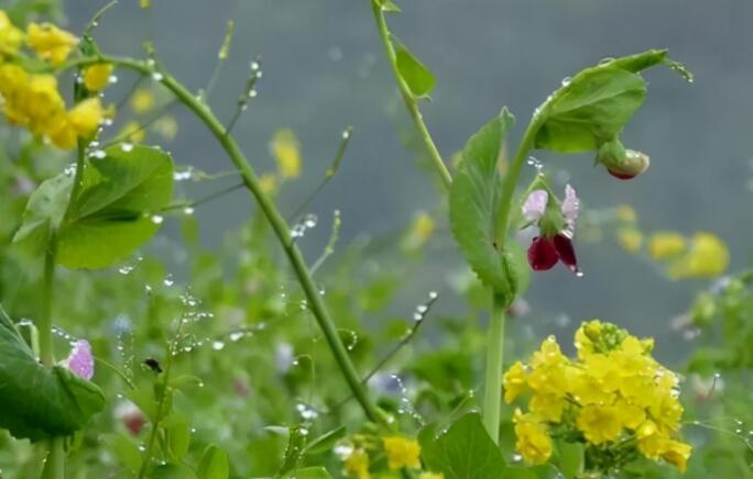 描写人物前后变化的句子文案