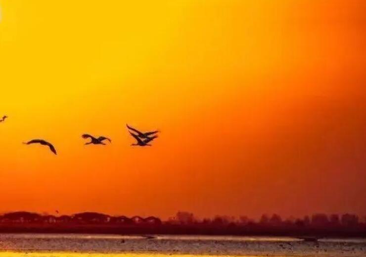 海上日出描写日出景象的句子文案