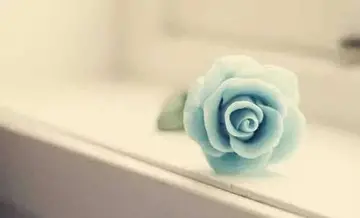 家庭责任担当经典语录文案