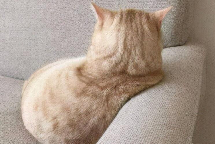 2024最新文艺短句