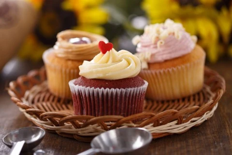 感谢热情好客的句子文案