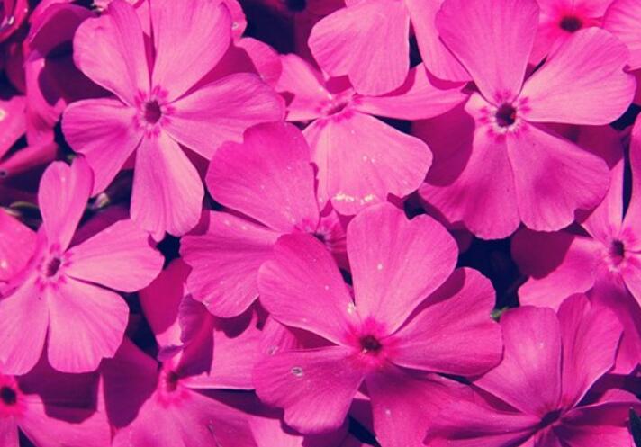 最困难最伤心的句子文案