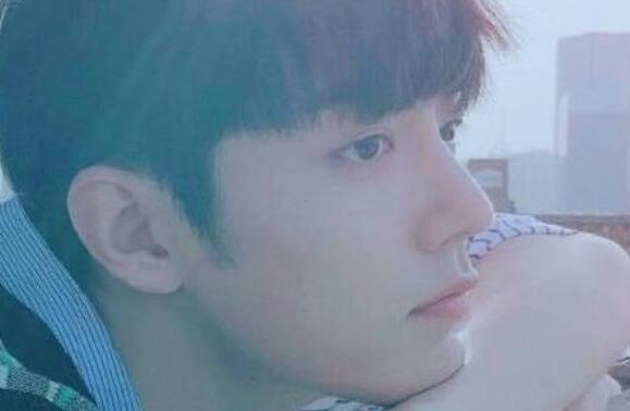 粉丝赞美肖战的句子文案