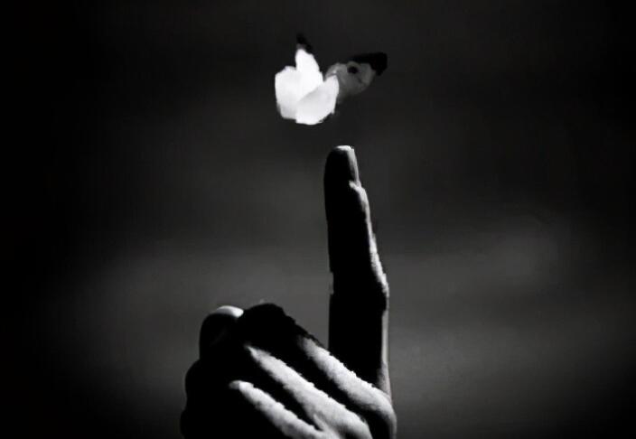 无知的人最可怕经典话