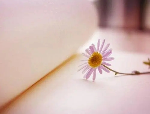 女人感悟经典句子文案说说心情