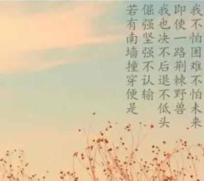 女孩阳光座右铭简短