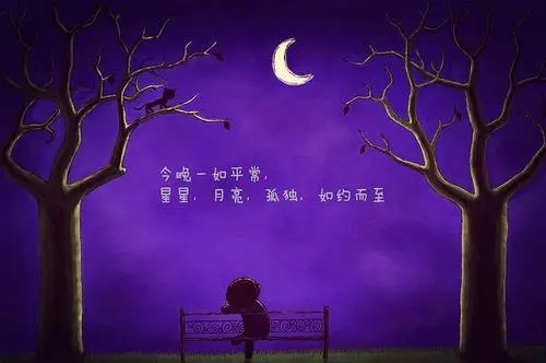 女生睡前说说文案心情短语