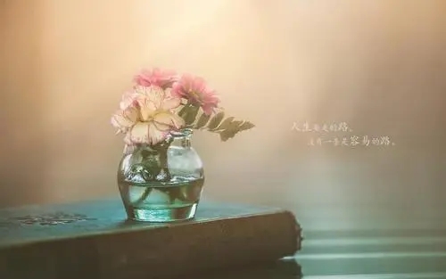 带幽默的鼓励语句文案