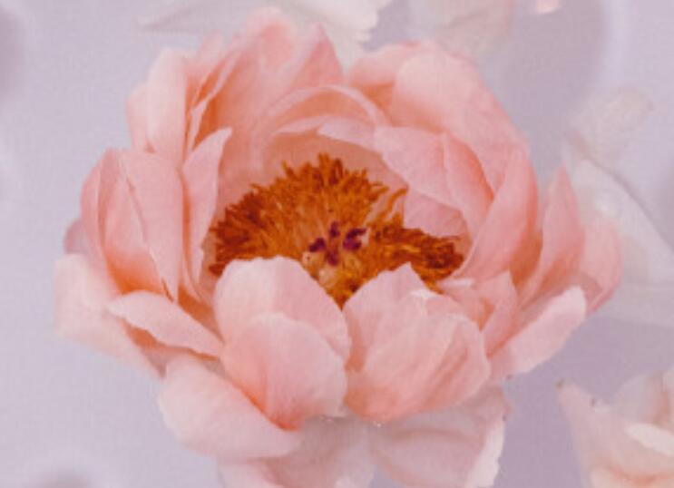 单身的名言名句文案