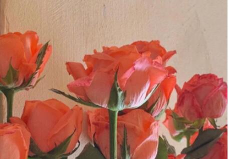 写给自己的祝福的话