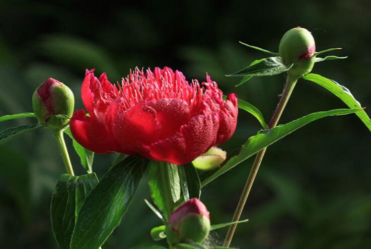 积累的语录文案