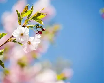 形容从容淡定的搞笑句子文案