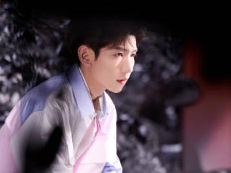 宝藏追星文案王源