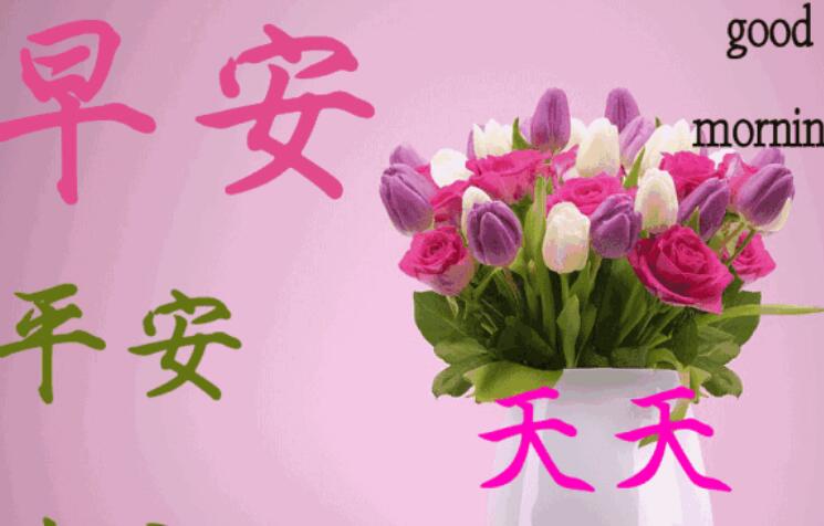 星期天的问候早安心语