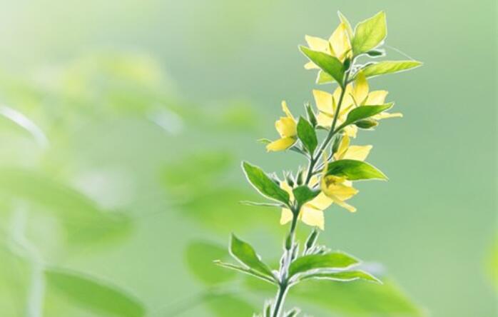 感情心疼句子文案