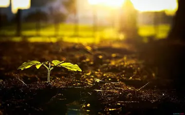 大胆尝试的名言名句文案