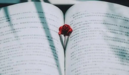 表达累的英文句子文案