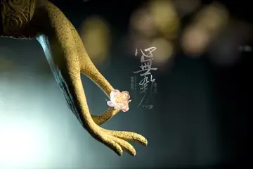 封锁内心的句子文案