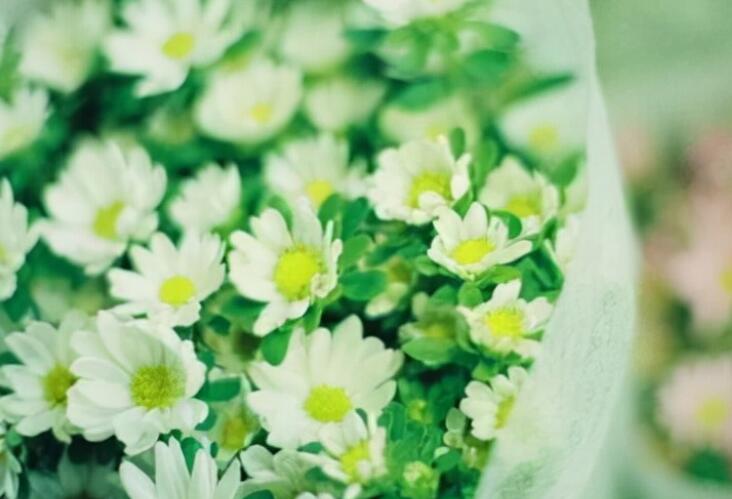 亲人相聚后离别的句子文案