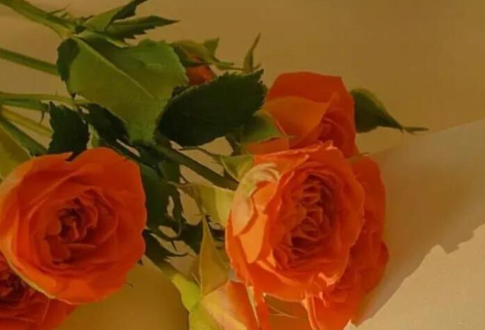 表达开心的朋友圈说说文案