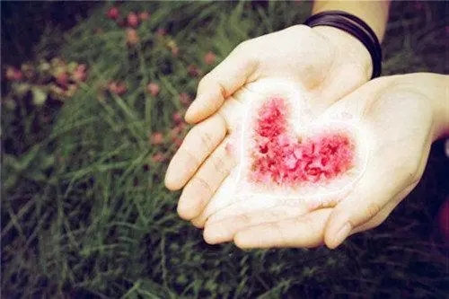 珍惜为你付出的人短句