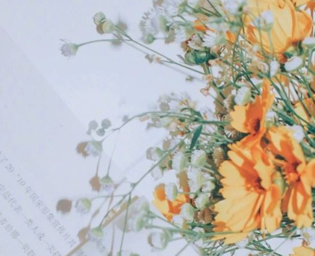 很美的句子文案说说