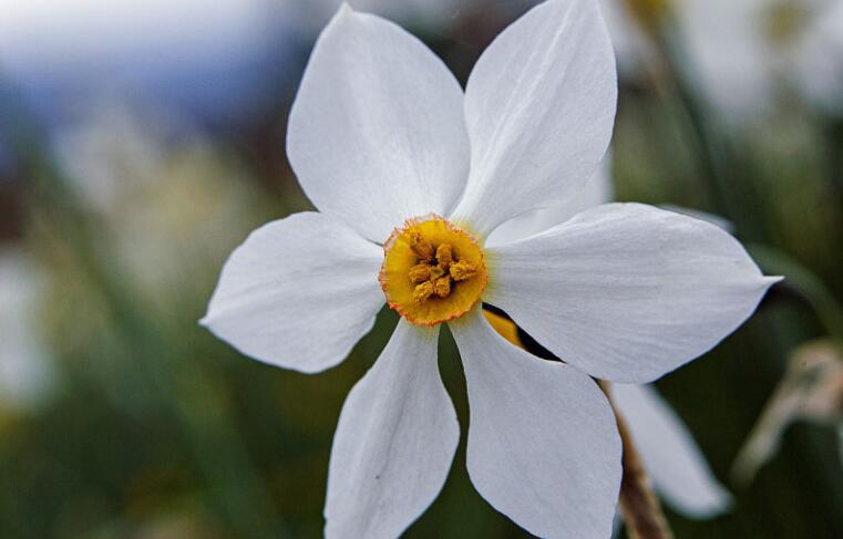 积累的经典语录文案