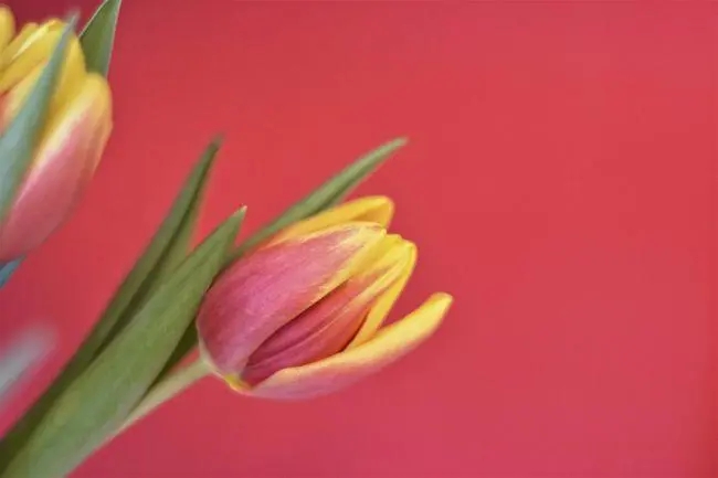 幽默情话文案短句