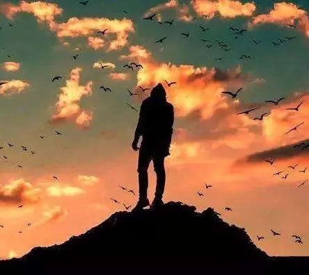 成熟稳重的句子文案致自己女人