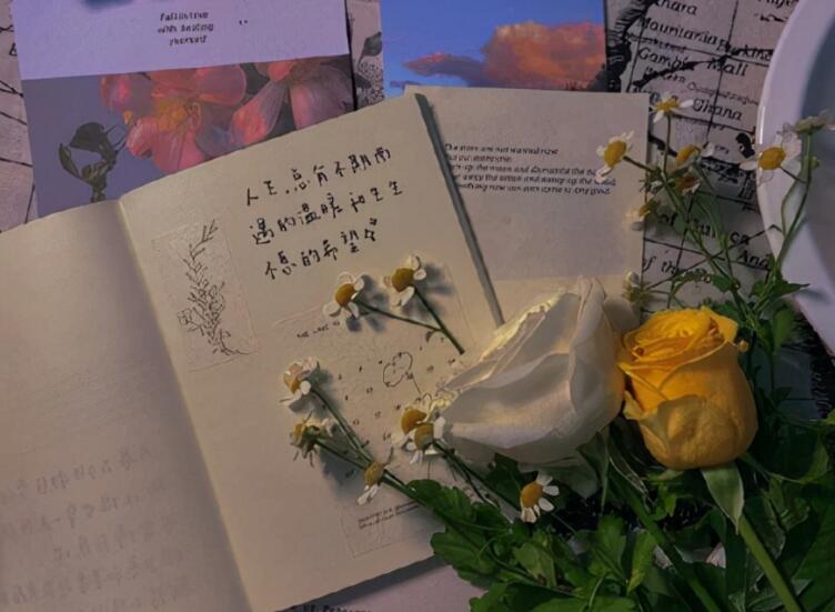 文案短句温柔干净优质