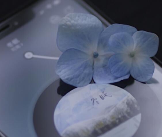 让内心充满阳光的句子文案