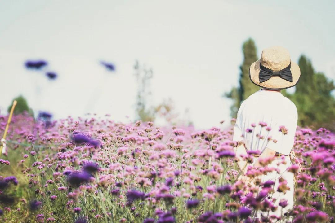 表达心痛的诗句文案