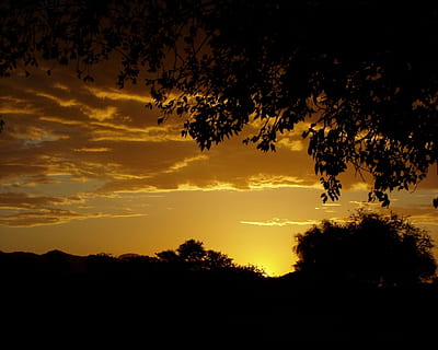 散文经典语录文案