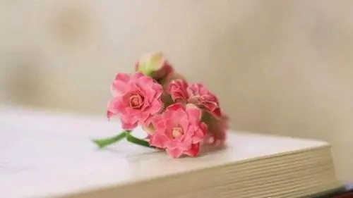 精美哲理句子文案大全