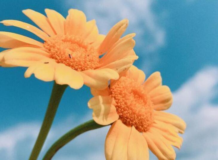 励志语录文案大全