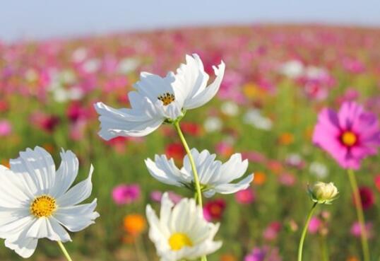 4个字个性签名霸气