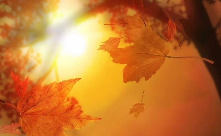 夸女人心态好的句子文案