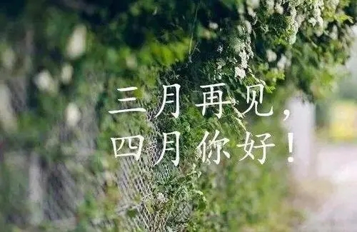 4月你好发朋友圈句子文案